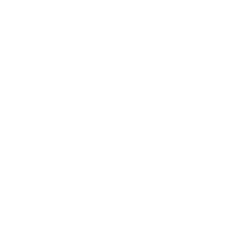 icone page instagram penaud agencement